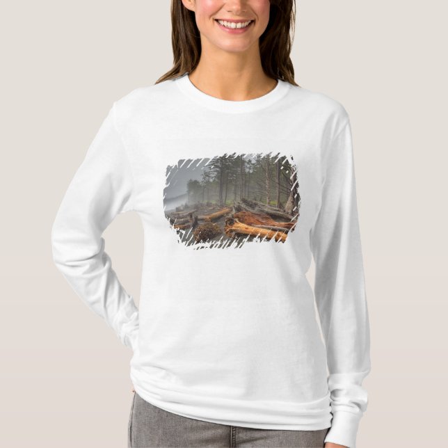 USA, Washington, Olympic National Park, Rialto T-Shirt (Front)