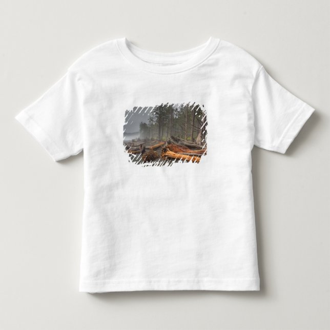 USA, Washington, Olympic National Park, Rialto Toddler T-shirt (Front)