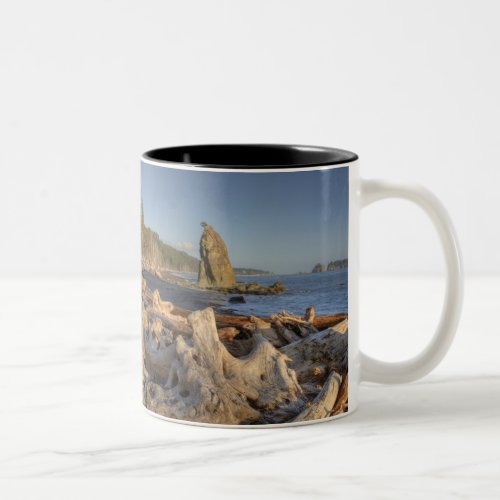 USA Washington Olympic National Park Rialto Two_Tone Coffee Mug