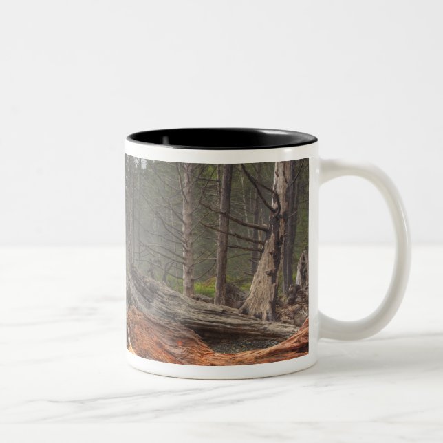 USA, Washington, Olympic National Park, Rialto Two-Tone Coffee Mug (Right)