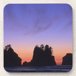 USA, Washington, Olympic National Park, Shi-shi Beverage Coaster
