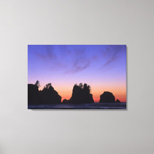 USA, Washington, Olympic National Park, Shi-shi Canvas Print