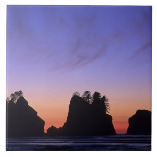 USA, Washington, Olympic National Park, Shi-shi Ceramic Tile