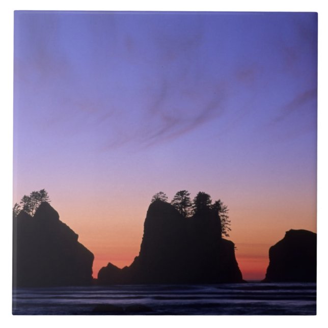 USA, Washington, Olympic National Park, Shi-shi Ceramic Tile (Front)