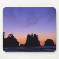 USA, Washington, Olympic National Park, Shi-shi