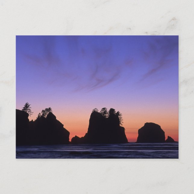 USA, Washington, Olympic National Park, Shi-shi Postcard (Front)