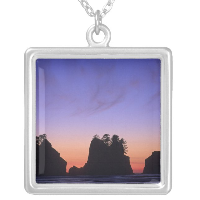 USA, Washington, Olympic National Park, Shi-shi Silver Plated Necklace (Front)