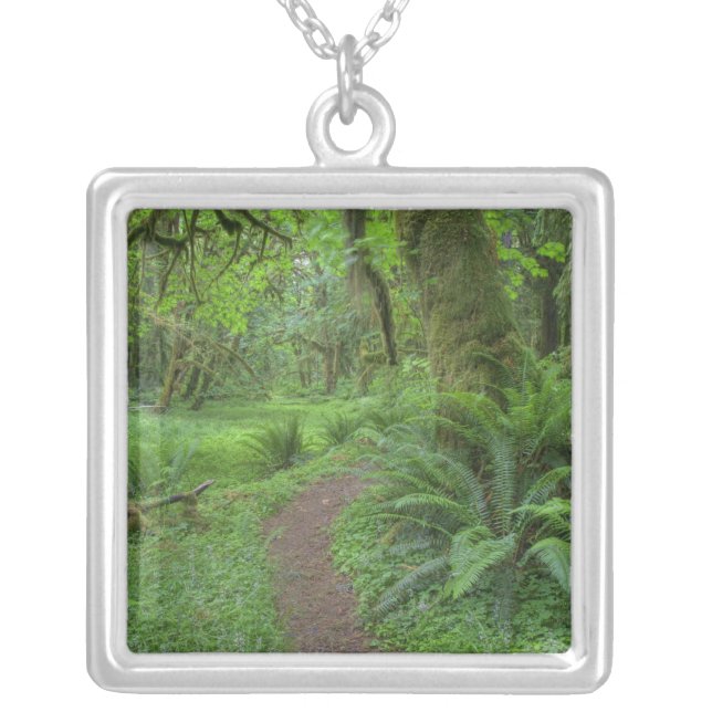 USA, Washington, Olympic National Park, Silver Plated Necklace (Front)