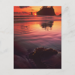 USA, Washington, Olympic National Park. Sunset Postcard