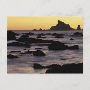USA, Washington, Olympic Nat'l Park, Seastacks Postcard