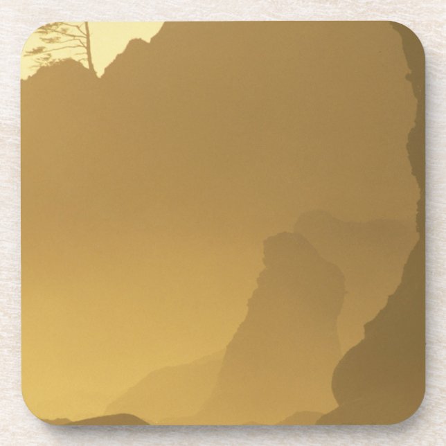 USA, Washington, Olympic Nat'l Park, Sunset, Coaster (Front)