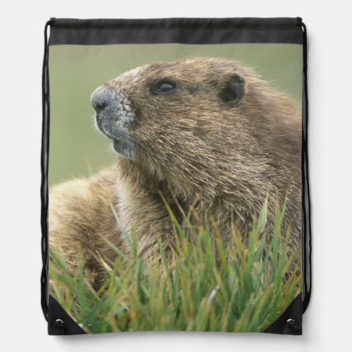 USA Washington Olympic NP Olympic Marmot Drawstring Bag