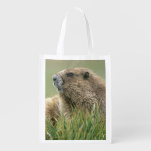 USA, Washington, Olympic NP, Olympic Marmot Grocery Bag