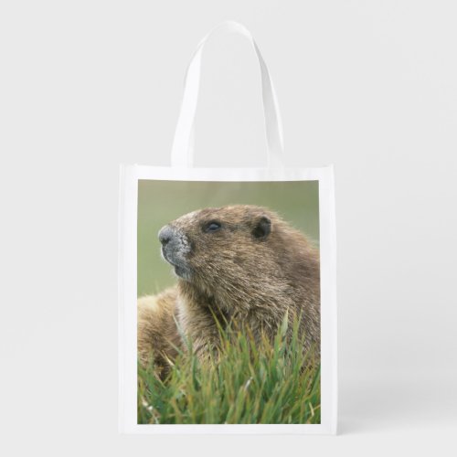 USA Washington Olympic NP Olympic Marmot Grocery Bag