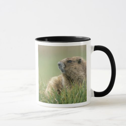 USA Washington Olympic NP Olympic Marmot Mug