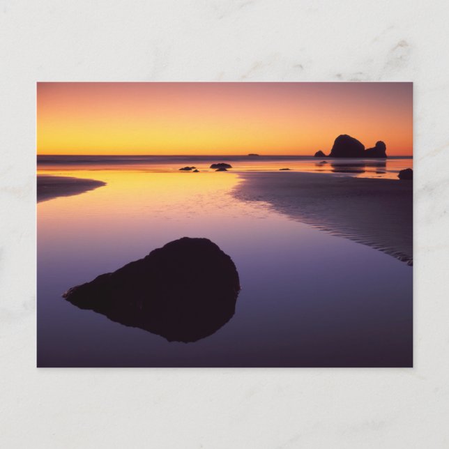 USA, Washington, Olympic Peninsula Postcard (Front)