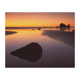 USA, Washington, Olympic Peninsula Wood Wall Art