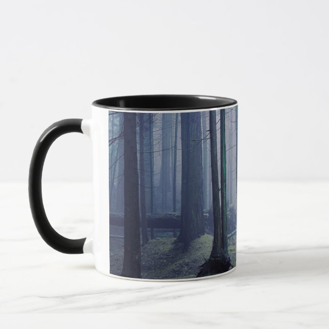 USA, Washington, Orcas Island, Moran State Park Mug (Left)