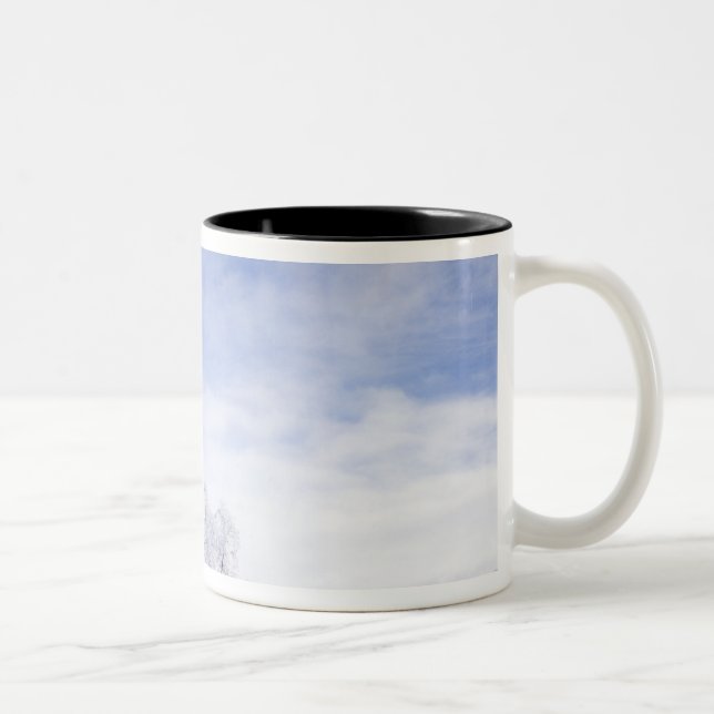 USA, Washington, Palouse Area, Frosted Black Two-Tone Coffee Mug (Right)