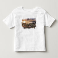 USA, Washington, San Juan Islands. A dramatic 2