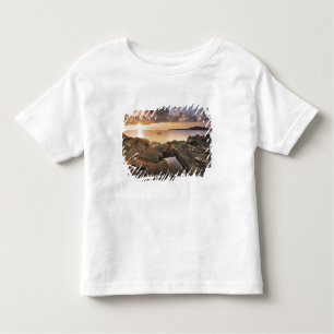 USA, Washington, San Juan Islands. A dramatic 2 Toddler T-shirt