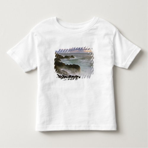 USA Washington San Juan Islands  Waves crash Toddler T_shirt
