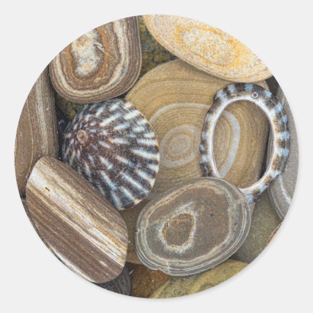 USA, Washington, Seabeck. Close-Up Of Beach Classic Round Sticker (Front)