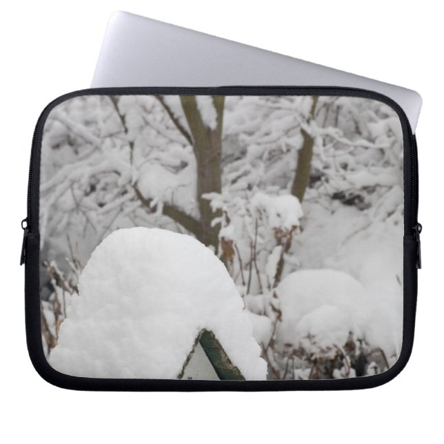 USA, Washington, Seabeck. Close-up of bird house Laptop Sleeve (Front)