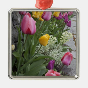 USA, Washington, Seabeck. Tulips line garden Metal Ornament