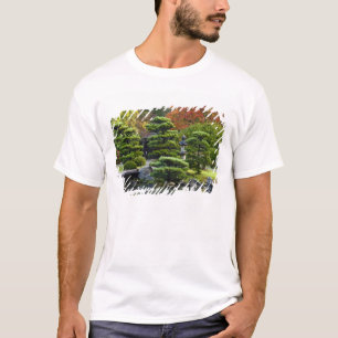 USA, Washington, Seattle, Arboretum, Japanese T-Shirt