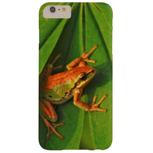 USA Washington Seattle Discovery Park 2 Barely There iPhone 6 Plus Case