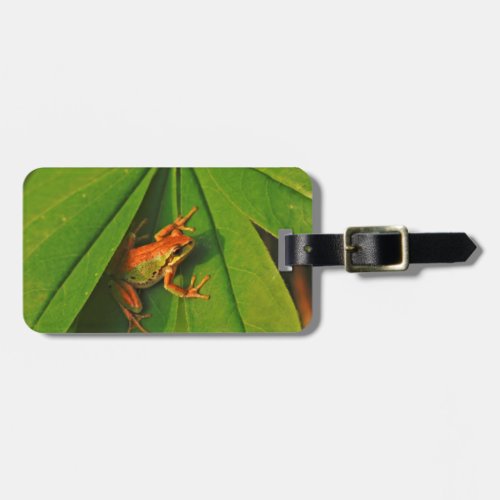 USA Washington Seattle Discovery Park 2 Luggage Tag