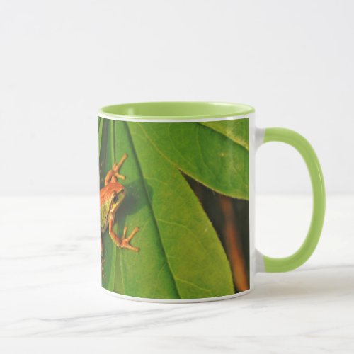 USA Washington Seattle Discovery Park 2 Mug