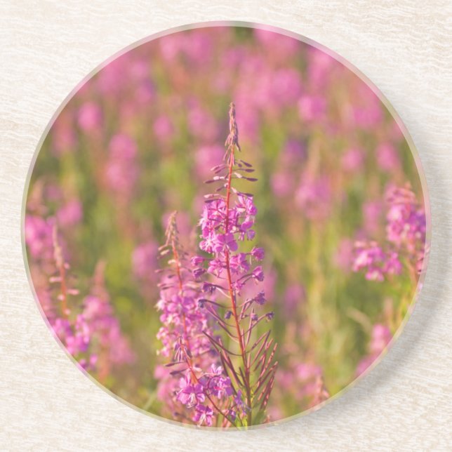 USA, Washington, Seattle, Discovery Park 3 Drink Coaster (Front)