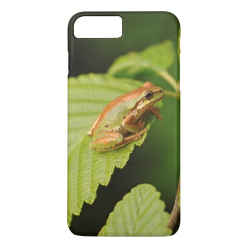 USA Washington Seattle Discovery Park iPhone 8 Plus7 Plus Case