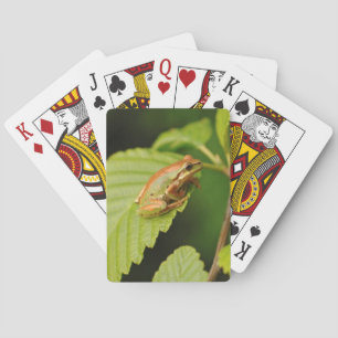 USA, Washington, Seattle, Discovery Park Poker Cards