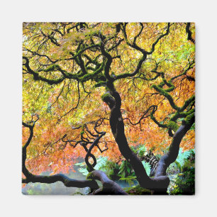 USA, Washington, Seattle, Kubota Garden. Magnet