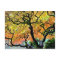 USA, Washington, Seattle, Kubota Garden.