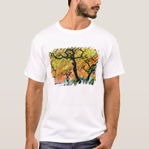 USA, Washington, Seattle, Kubota Garden. T-Shirt