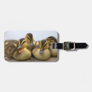 USA, Washington, Seattle, Lake Washington Luggage Tag