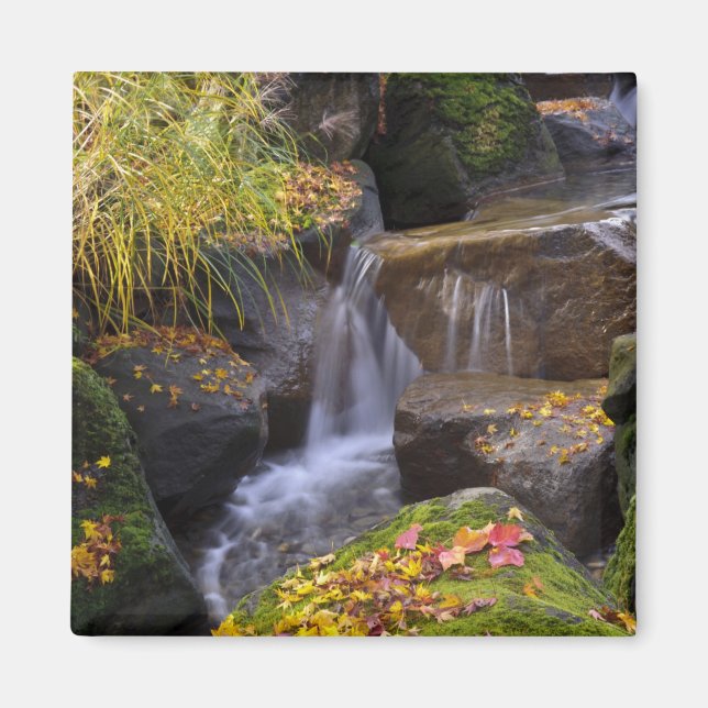 USA, Washington, Seattle Magnet (Front)