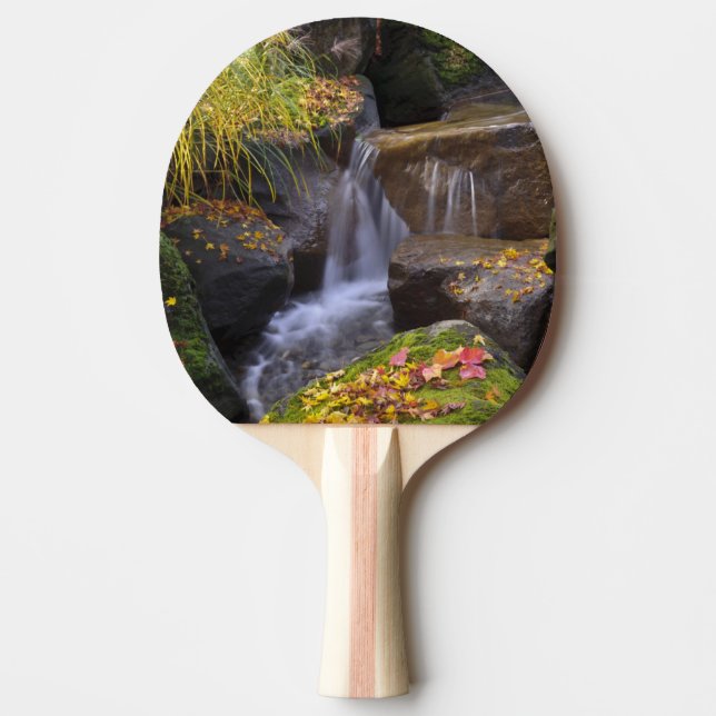 USA, Washington, Seattle Ping Pong Paddle (Front)