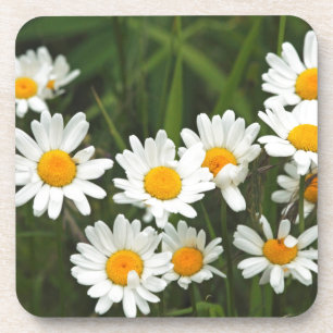 USA, Washington, Seattle, Puget Sound 3 Beverage Coaster