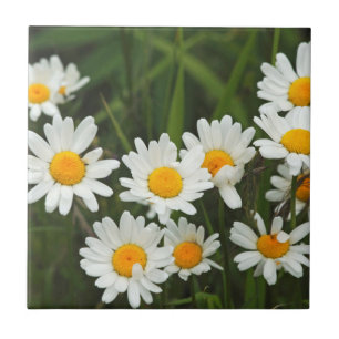 USA, Washington, Seattle, Puget Sound 3 Ceramic Tile