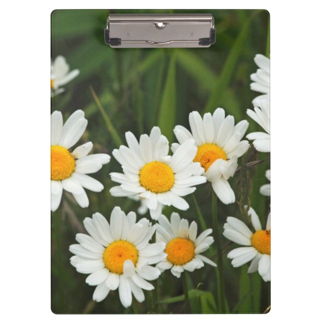 USA, Washington, Seattle, Puget Sound 3 Clipboard (Front)