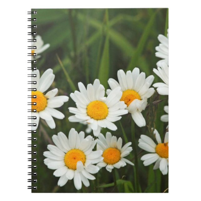 USA, Washington, Seattle, Puget Sound 3 Notebook (Front)