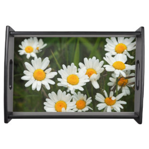 USA, Washington, Seattle, Puget Sound 3 Serving Tray