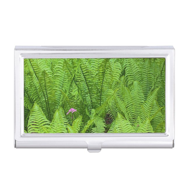 USA, Washington, Seattle, Washington Park Case For Business Cards (Front)