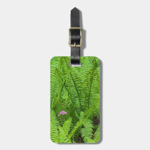 USA, Washington, Seattle, Washington Park Luggage Tag