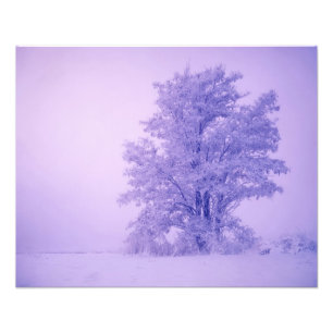 USA, Washington, Spokane County, Frosted Photo Print